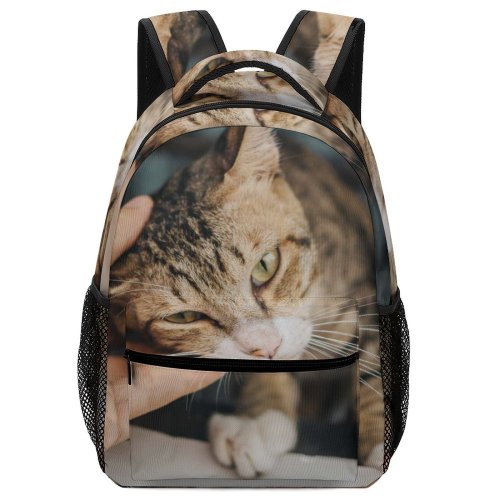 yanfind Children's Backpack Young Stripe Pet Kitten Portrait Whiskers Cute Face Sit Sleep Cat Preschool Nursery Travel Bag