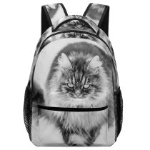 yanfind Children's Backpack Grey Pet Winter Kitten Portrait Tabby Cute Little Snow Cat  Whisker Preschool Nursery Travel Bag