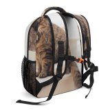 yanfind Children's Backpack London Abyssinian  Kitten Fur Cat Wallpapers Manx Cute Creative Images Preschool Nursery Travel Bag
