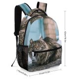 yanfind Children's Backpack Funny Curiosity Outdoors Cute Young  Portrait Kitten Whisker Wildlife Preschool Nursery Travel Bag