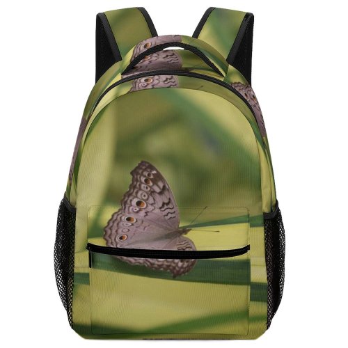 yanfind Children's Backpack Butterfly Insect Invertebrate Phukuok Fauna Flower Beauty Grey Preschool Nursery Travel Bag