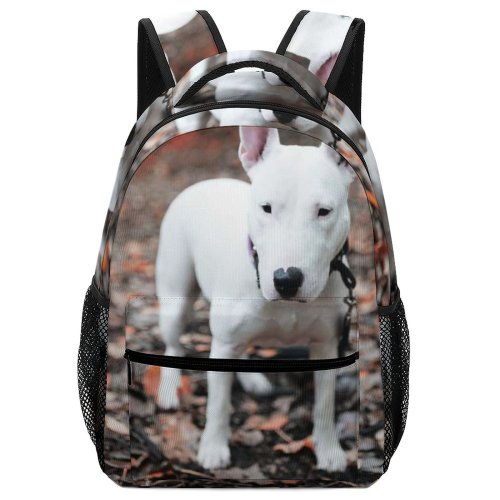 yanfind Children's Backpack Ground Dog Leaf Plant Pet Strap Volkspark Marienberg Marienbergstrae Nürnberg Deutschland Tree Preschool Nursery Travel Bag