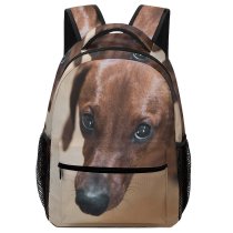 yanfind Children's Backpack Dog Pet Wallpapers Free Pictures Wood Hound Grey Images Snout Beagle Preschool Nursery Travel Bag