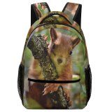 yanfind Children's Backpack  Fur Focus Whiskers Squirrel Field Perched Rodent Shallow Branch Furry Wildlife Preschool Nursery Travel Bag