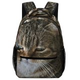 yanfind Children's Backpack Young Pet Kitten Portrait Tabby Cute Little Staring Sit Sleep Cat Preschool Nursery Travel Bag