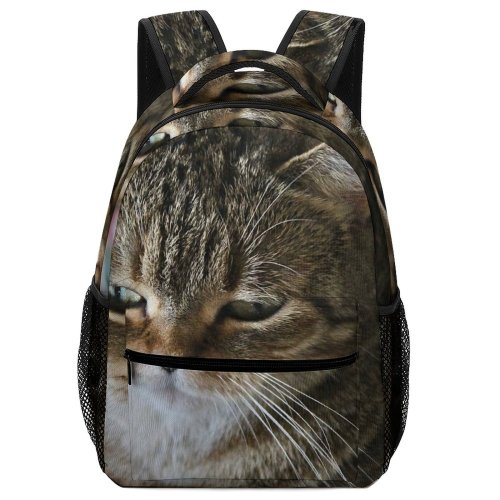 yanfind Children's Backpack Young Pet Kitten Portrait Tabby Cute Little Staring Sit Sleep Cat Preschool Nursery Travel Bag