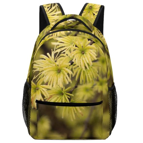 yanfind Children's Backpack Fir Free Wallpapers Vic Pictures  Abies Plant Conifer Tree Images Preschool Nursery Travel Bag