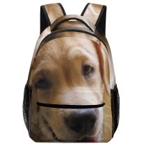 yanfind Children's Backpack Dog Pet Free Pictures Stock Golden Images Preschool Nursery Travel Bag