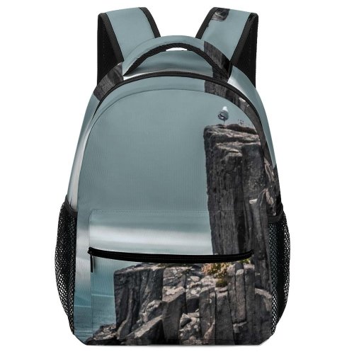 yanfind Children's Backpack Cliff Outdoors Birds Isle Skye United  Grey Promontory Adventure Leisure Activities Preschool Nursery Travel Bag