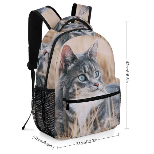 yanfind Children's Backpack Young Grass Pet Outdoors Kitten Portrait Wildlife Field Curiosity Cute Cat Preschool Nursery Travel Bag