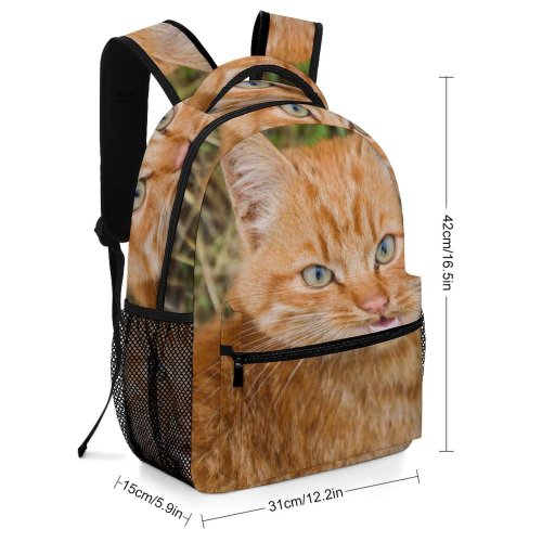 yanfind Children's Backpack Funny Curiosity Outdoors Little  Staring Grass Whisker Downy Portrait Preschool Nursery Travel Bag