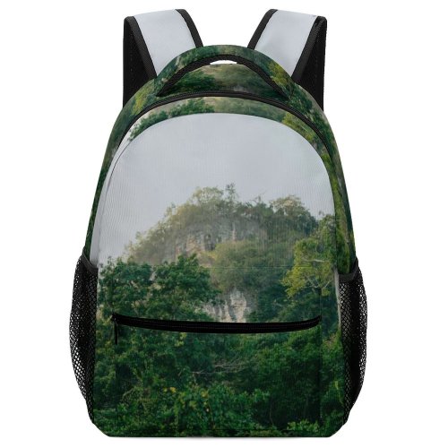 yanfind Children's Backpack Countryside Occidental Beach Plant Philippines Pictures Sipalay Outdoors Stock Jungle Tree Preschool Nursery Travel Bag