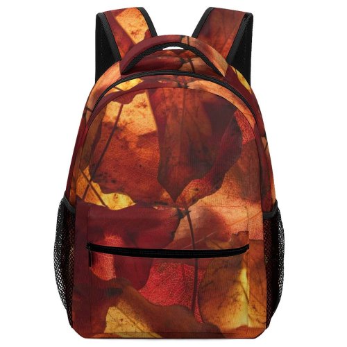 yanfind Children's Backpack Autumn Foliage Dry Fall Season Leaves Preschool Nursery Travel Bag
