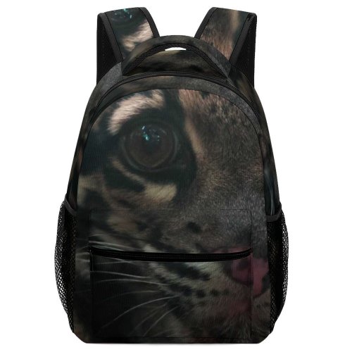 yanfind Children's Backpack Leopard Big Safari Stripe Wild  Jungle Portrait Hunter Whiskers Wildlife Cute Preschool Nursery Travel Bag