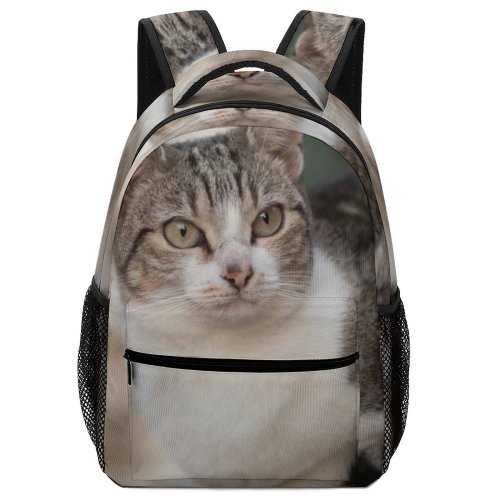 yanfind Children's Backpack Young Pet Kitten Portrait Tabby Curiosity Cute Little Staring Sit Cat Preschool Nursery Travel Bag
