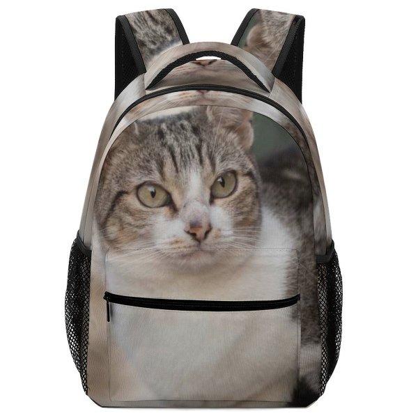yanfind Children's Backpack Young Pet Kitten Portrait Tabby Curiosity Cute Little Staring Sit Cat Preschool Nursery Travel Bag