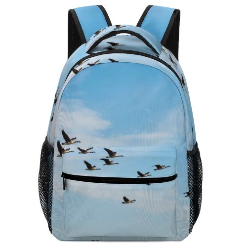 yanfind Children's Backpack Flock Birds Flying Stanpit Christchurch U Aircraft Airplane Transportation Vehicle Migrating Team Preschool Nursery Travel Bag