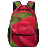 yanfind Children's Backpack Wallpapers Island Flower Usa Rose Rhode Plant  Creative Images Commons Preschool Nursery Travel Bag