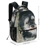 yanfind Children's Backpack Dog Pet Wallpapers Free Pictures Grey Poodle Images Puppies Preschool Nursery Travel Bag