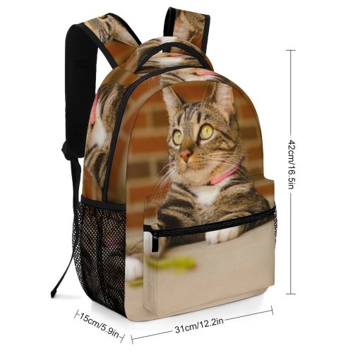 yanfind Children's Backpack Funny Curiosity Sit Cute Little Young Pretty  Staring Kitten Whisker Fur Preschool Nursery Travel Bag