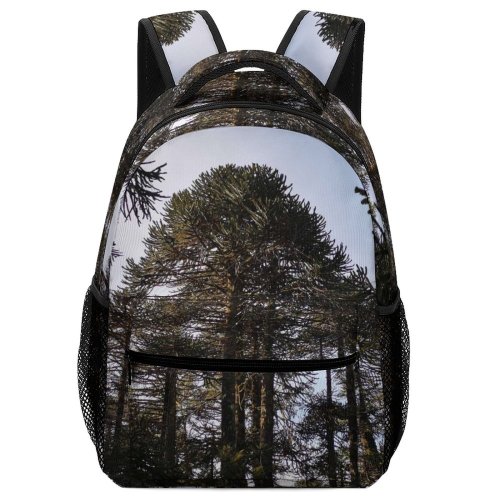 yanfind Children's Backpack Abies Pine Plant Forest Domain Pictures Araucanía Tree Fir Araucaria Vegetation Preschool Nursery Travel Bag