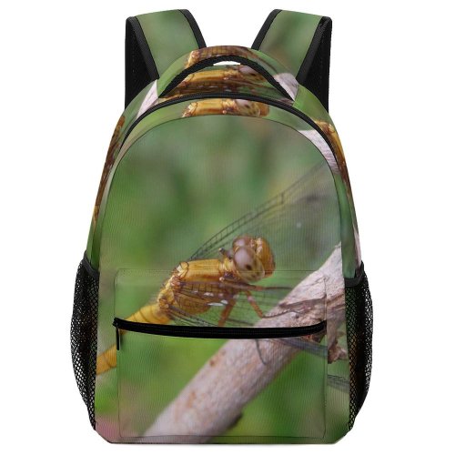 yanfind Children's Backpack Insect Dragonflies Damseflies Invertebrate Organism Arthropod Plant Stem Twig Macro Hawker Preschool Nursery Travel Bag