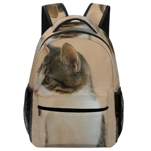 yanfind Children's Backpack Young Pet Funny Side Kitten Portrait Curiosity Cute Little Sit Cat Preschool Nursery Travel Bag