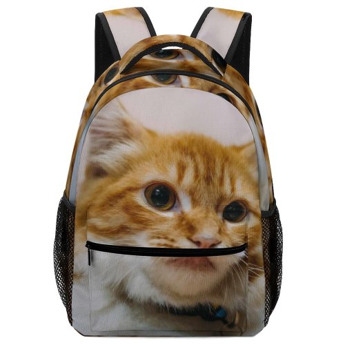 yanfind Children's Backpack Funny Curiosity Sit Little Young  Staring Kitten Whisker Downy Fur Portrait Preschool Nursery Travel Bag