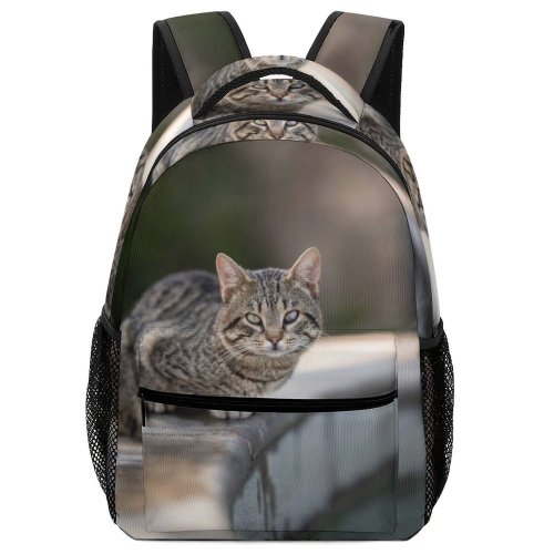 yanfind Children's Backpack Funny Curiosity Outdoors Focus Little Young  Pretty Staring Preschool Nursery Travel Bag