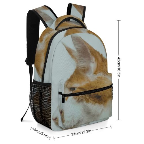 yanfind Children's Backpack Funny Curiosity Cute Cat Young Little  Staring Kitten Whisker Portrait Wildlife Preschool Nursery Travel Bag