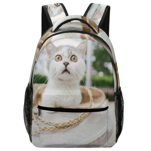 yanfind Children's Backpack Funny Curiosity Outdoors Sit Cute Little Street  Portrait Kitten Flower Pet Preschool Nursery Travel Bag