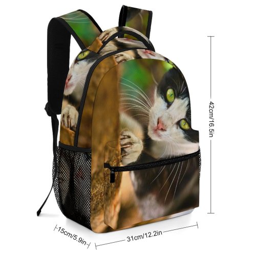yanfind Children's Backpack Pet Funny Outdoors Kitten Portrait Wildlife Curiosity Cute Furry Face  Whisker Preschool Nursery Travel Bag