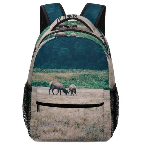 yanfind Children's Backpack Field Grassland Outdoors Countryside Farm Rural Horse Pasture Meadow Ranch Grazing Elephant Preschool Nursery Travel Bag