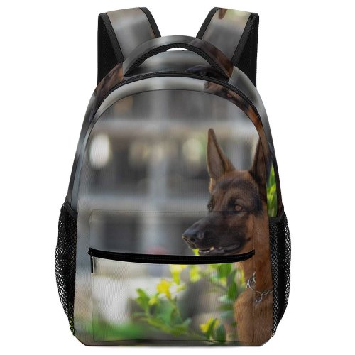 yanfind Children's Backpack Dog German Pet Pictures Domain Images Public Preschool Nursery Travel Bag