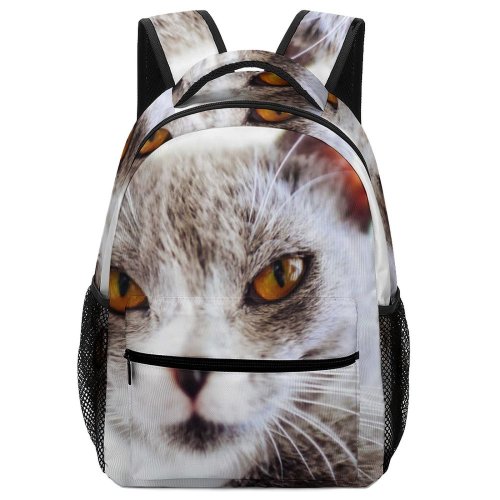 yanfind Children's Backpack Meow Beautiful Abyssinian Domain Kali Public Fur Cat Staring Wallpapers Manx Preschool Nursery Travel Bag