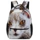 yanfind Children's Backpack Meow Beautiful Abyssinian Domain Kali Public Fur Cat Staring Wallpapers Manx Preschool Nursery Travel Bag