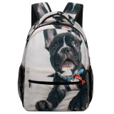 yanfind Children's Backpack Dog Pet  Pictures Domain Images Public French Preschool Nursery Travel Bag