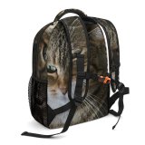 yanfind Children's Backpack Young Pet Kitten Portrait Tabby Cute Little Staring Sit Sleep Cat Preschool Nursery Travel Bag