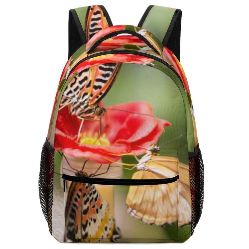 yanfind Children's Backpack Butterfly Invertebrate Insect Palace Rainforest Adventure Branson United States Finger Preschool Nursery Travel Bag