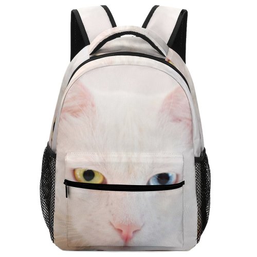 yanfind Children's Backpack Young Studio Kitty Pet Funny Kitten Portrait Whiskers Curiosity Cute Focus Little Preschool Nursery Travel Bag