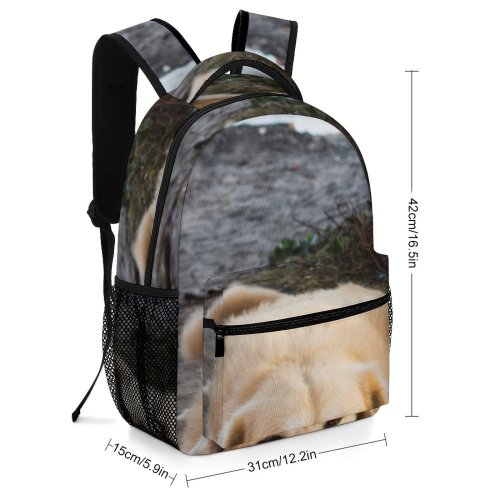 yanfind Children's Backpack Dog Pet Kerala Pictures Trivandrum India Domain Golden Images Public Preschool Nursery Travel Bag