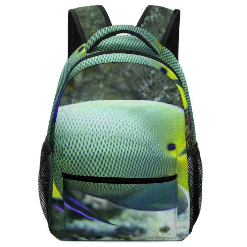 yanfind Children's Backpack Fish Angelfish Tropical Bulefaced Aquarium Sea Coral Fins Gills Vertebrate Pomacanthidae Preschool Nursery Travel Bag