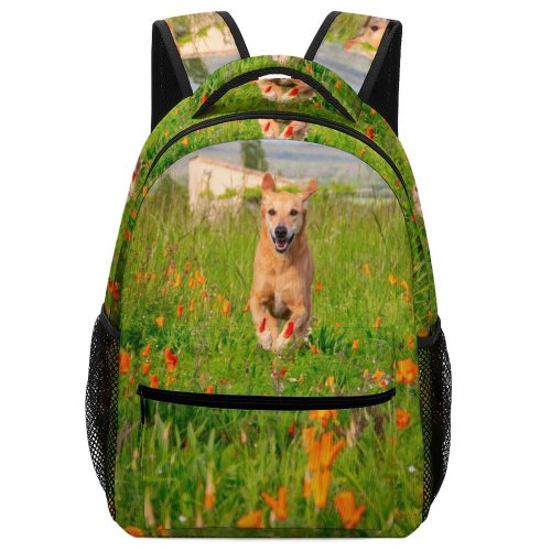 yanfind Children's Backpack Field Grassland Outdoors Dog Pet Golden Countryside Farm Meadow Rural  Flower Preschool Nursery Travel Bag