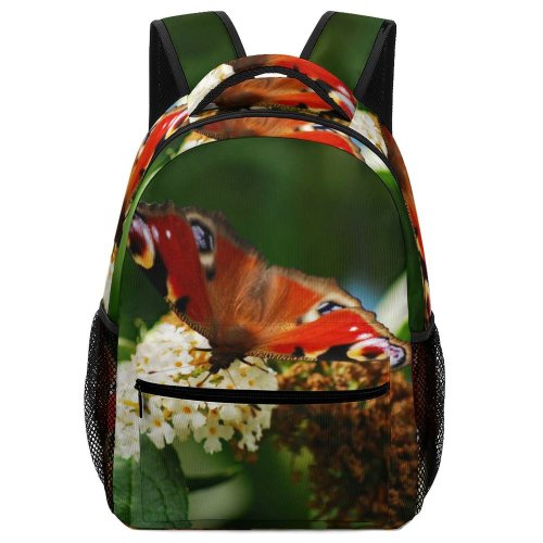 yanfind Children's Backpack Butterfly Insect Invertebrate Leicester Uk Birds Plant Wildlife Pollen Preschool Nursery Travel Bag