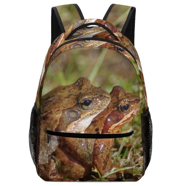 yanfind Children's Backpack Amphibian Cling Copulate Copulating Croak Frog Frogs Grab Hop Intercourse Lake Preschool Nursery Travel Bag