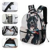 yanfind Children's Backpack Dog Pet  Pictures Domain Images Public French Preschool Nursery Travel Bag