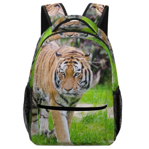 yanfind Children's Backpack Outdoors Cat   Park Wild Felidae Carnivore Grass Fur Whiskers Wildlife Preschool Nursery Travel Bag