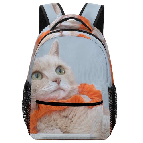 yanfind Children's Backpack Young Stripe Funny Kitten Portrait Curiosity Cute Little Staring Sit Cat Pretty Preschool Nursery Travel Bag