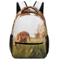yanfind Children's Backpack Dog Pet Free Pictures Grass Hound Plant Images Beagle Puppies Preschool Nursery Travel Bag