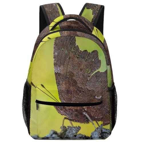 yanfind Children's Backpack Fly Domain Garden Polygonia Plant Grass Moth Album Images Wallpapers Wing Preschool Nursery Travel Bag